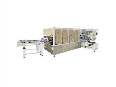 GF2600 X Spout Inserting And Sealing Machine